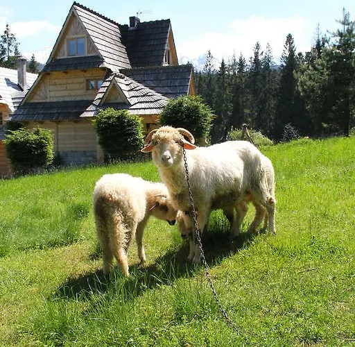 Alpesi faház Z Kominkiem I Sauna W Gorach - Pod Jeziorem Murzasichle
